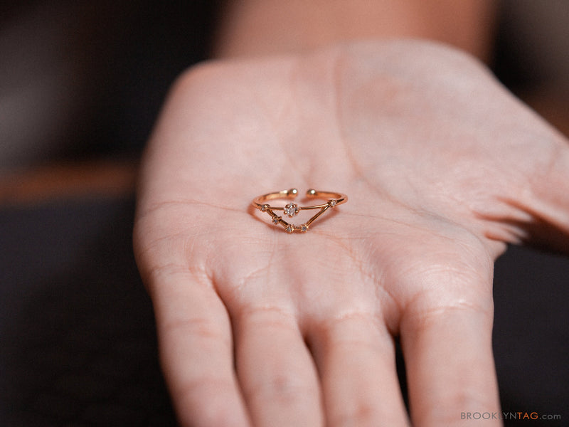 Capricorn Gold Zodiac Constellation Ring / Silver or 14k – Julie Nolan